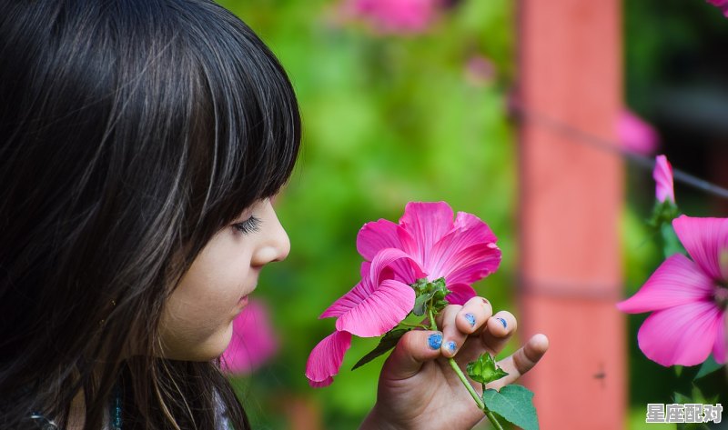 帮新娘当天红蛋滚脸咋弄_开面礼是什么 - 星座运势