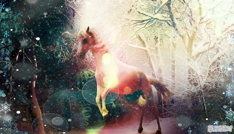 76年农历十月是什么龙,丙是什么生肖 - 星座运势