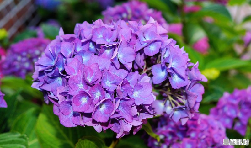 四月份出生的人是什么星座_四月份是什么星座 - 星座运势