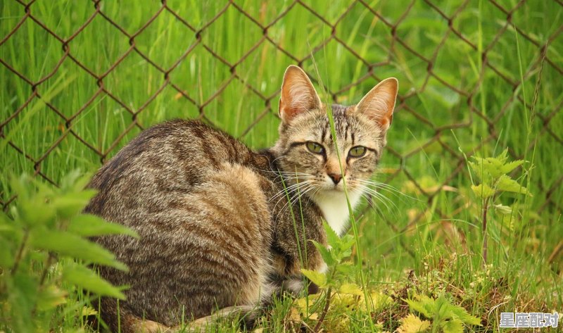 河边捡到鱼意味着什么意思,捡财 是哪里的习俗 河边捡到鱼意味着什么意思,捡财 是哪里的习俗 - 星座运势