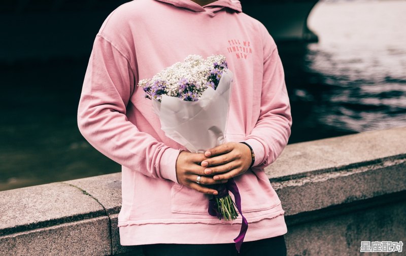 摩羯座注定伴侣的星座,摩羯座和什么星座配对最配女生 摩羯座注定伴侣的星座,摩羯座和什么星座配对最配女生 - 星座运势