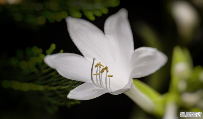 处女座女生的性格、特点,星座配对处女座女生的性格特点是什么 处女座女生的性格、特点,星座配对处女座女生的性格特点是什么 - 星座运势