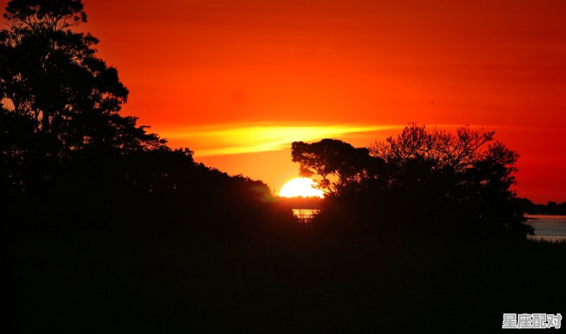 露水红颜结局深度解析,梦到跳河 露水红颜结局深度解析,梦到跳河 - 星座运势