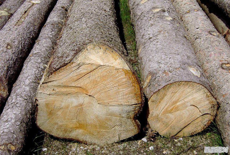 喜用木是什么意思,木头是什么生肖 - 星座运势