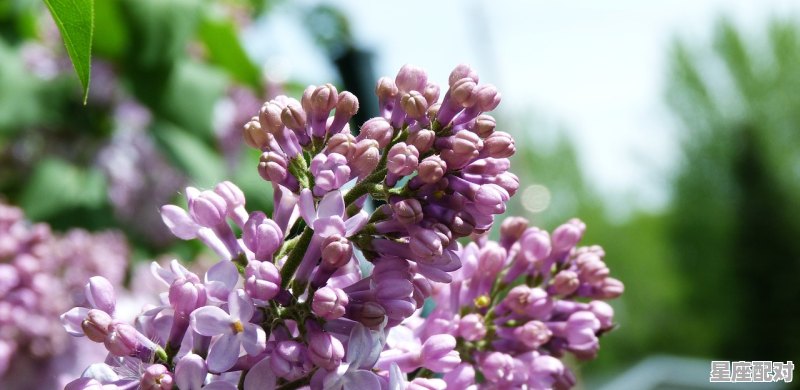 4月30日是什么星座属马_4月3号—4月30是什么星座 - 星座运势