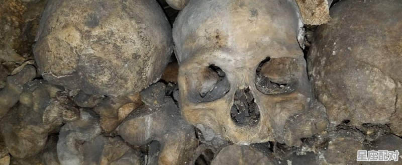 为什么客家人死后要“捡骨”重葬，捡骨头是什么习俗 - 星座运势