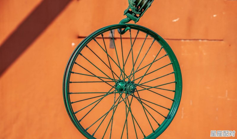 2021年黄历属什么,今天买什么生肖 2021年黄历属什么,今天买什么生肖 - 星座运势