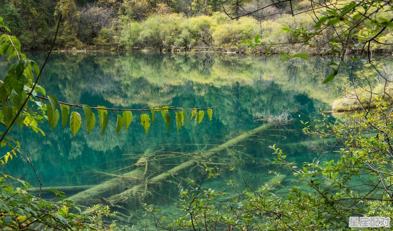 国历8月是什么星座_国历8月份是什么星座 - 星座运势