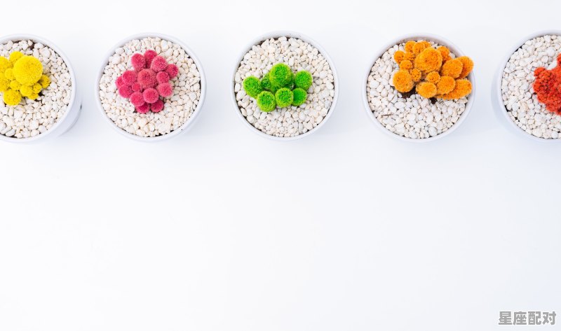 正月初七是什么星座,正月初七什么星座 正月初七是什么星座,正月初七什么星座 - 星座运势