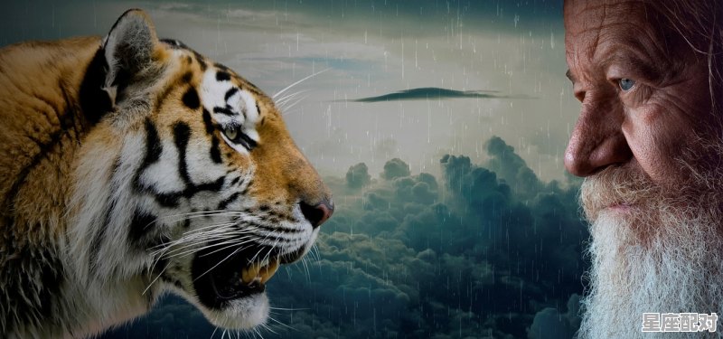 八百里分麾下炙五十弦塞外声典故关于什么动物,俊是什么生肖 - 星座运势