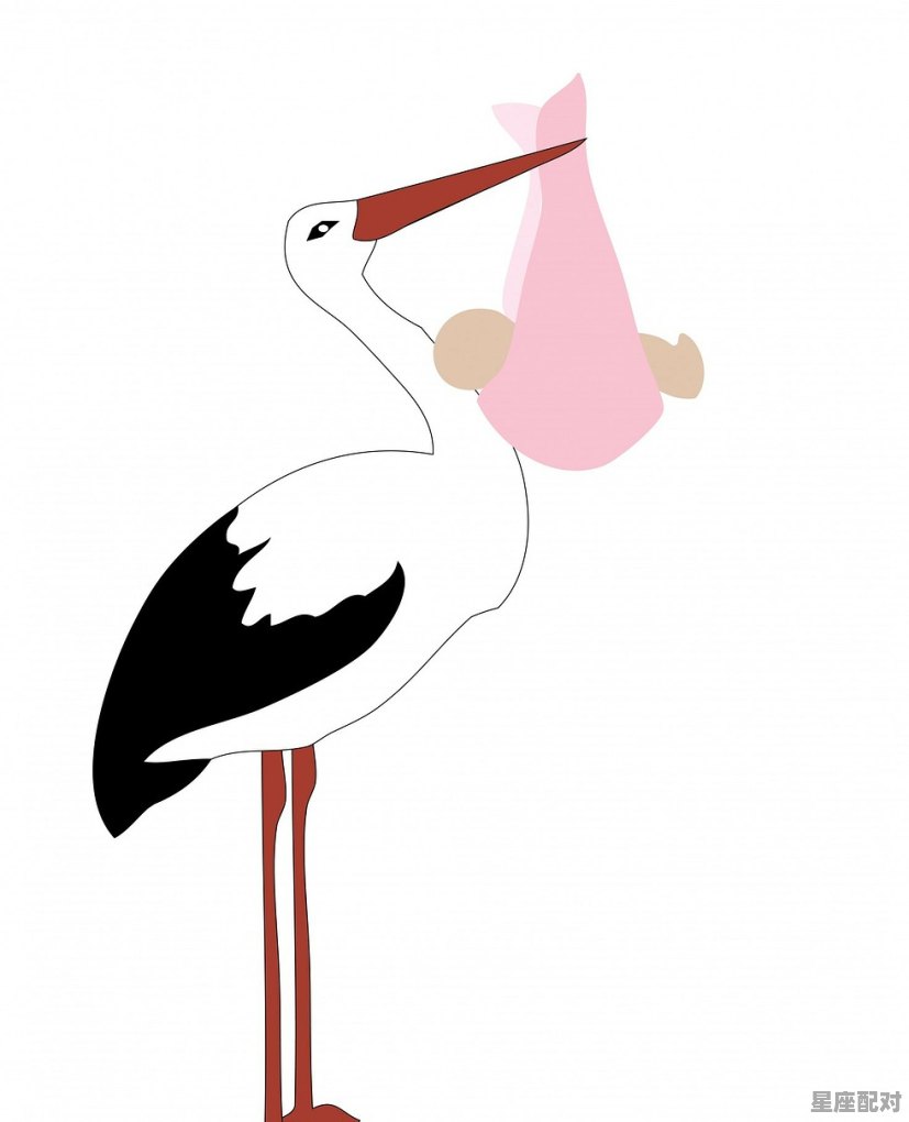 摩羯座男性和什么座最配_摩羯座男生和什么座最配 - 星座运势