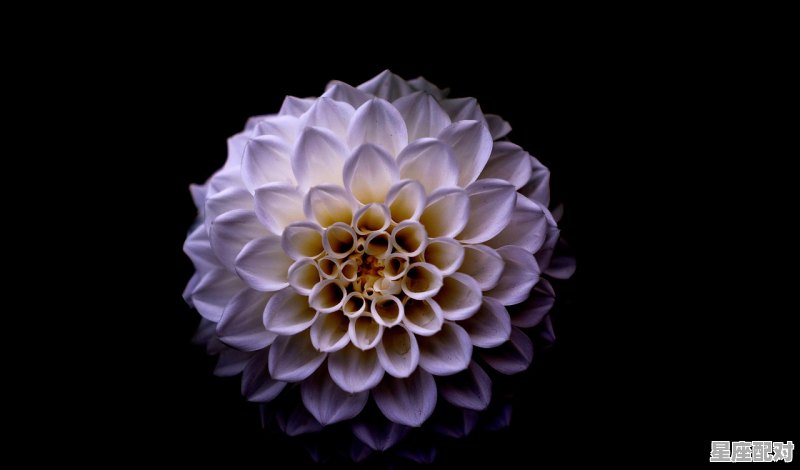 处女座的男生性格特点以及分析，星座配对处女座男生的特点是什么意思 - 星座运势