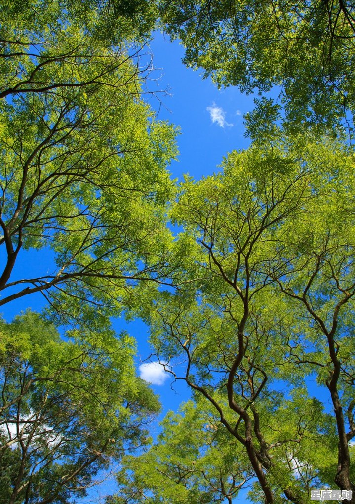 梦到生了个女儿,梦到生了个女儿 梦到生了个女儿,梦到生了个女儿 - 星座运势