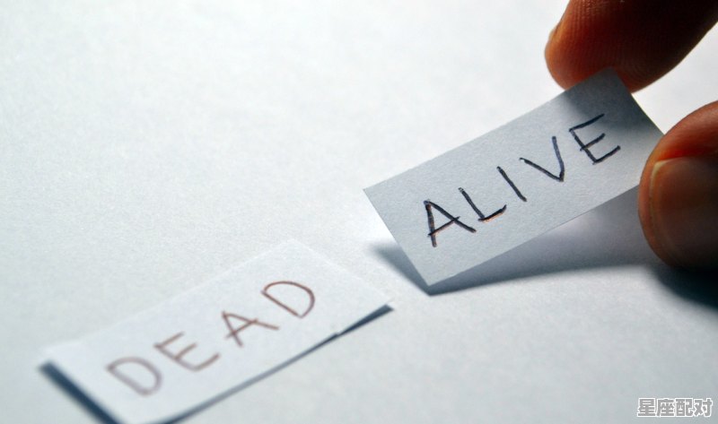 让双子座爱得死去活来的三个星座_双子座会被什么星座暗恋 让双子座爱得死去活来的三个星座_双子座会被什么星座暗恋 - 星座运势