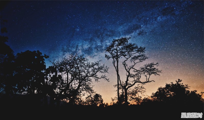 天秤座和哪个星座的人配最好，星座配对处女座和天平座配吗男生会怎么样 - 星座运势