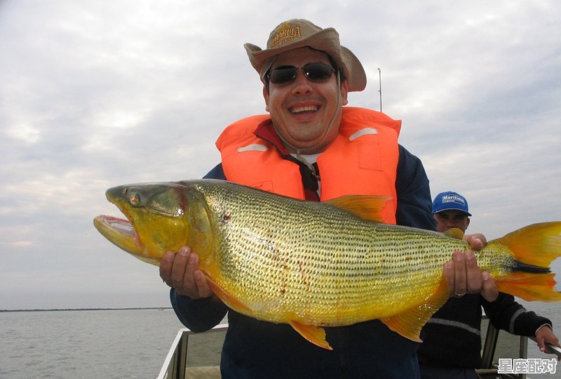 梦见鱼和粪便一起流出来我拾了两条大鱼_梦见很多鱼都从水里跳到岸上捡了好多鱼 - 星座运势