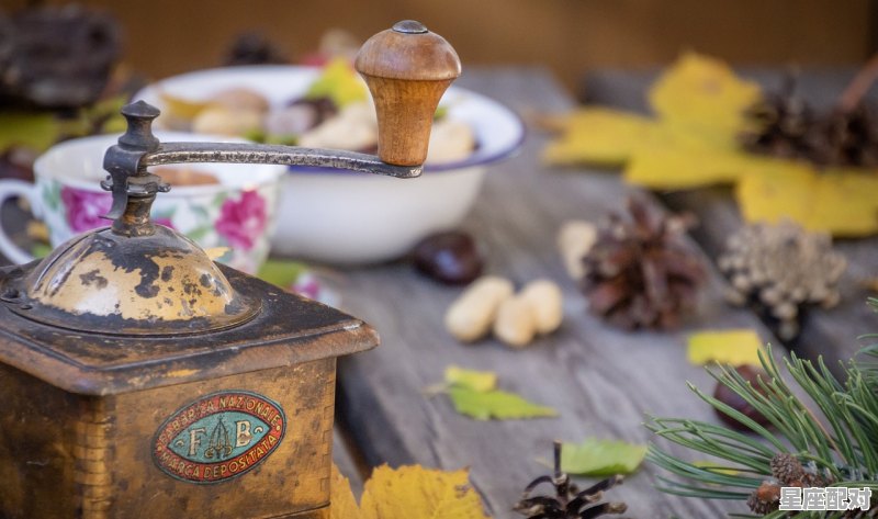 结婚用的栗子和枣子花生怎样用针穿成串,用铁钉子穿脸习俗 - 星座运势