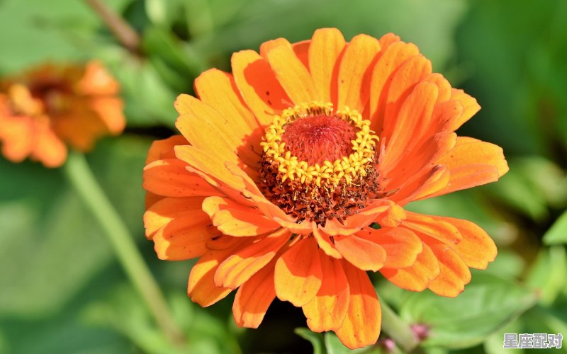 双子座女生的性格特点_双子座女生、的性格特点 双子座女生的性格特点_双子座女生、的性格特点 - 星座运势