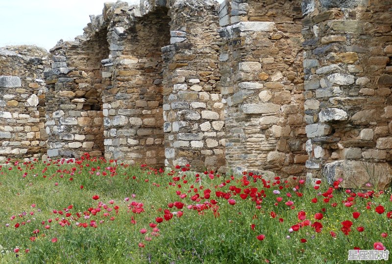 做梦想到婆婆遗体放在庙里没有其他人，梦到寺院 - 星座运势
