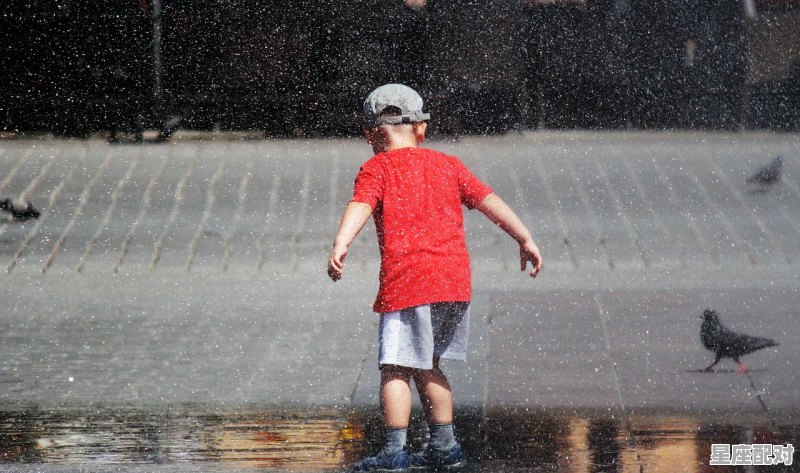 王默和水王子结婚是第几集,梦到参加婚礼 王默和水王子结婚是第几集,梦到参加婚礼 - 星座运势