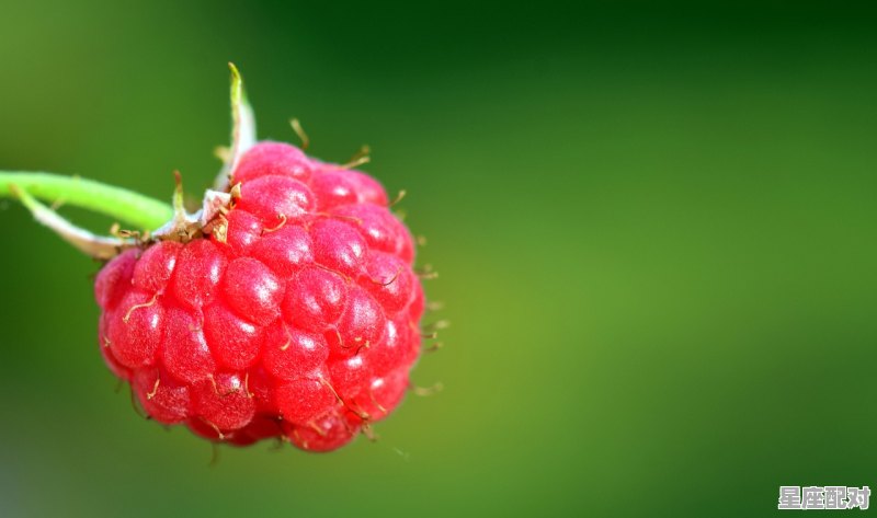 63年兔买彩票能中大奖吗,今日运势1963年 63年兔买彩票能中大奖吗,今日运势1963年 - 星座运势