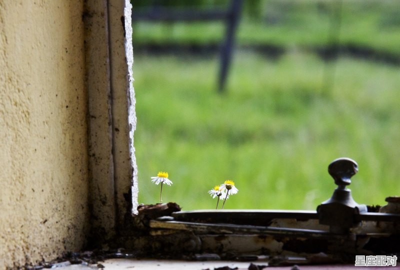 端午节的来历和传说,端午节的故事和来历和习俗 端午节的来历和传说,端午节的故事和来历和习俗 - 星座运势