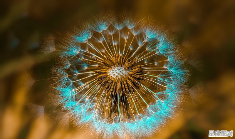 属鸡水瓶座是什么性格,属鸡双子座性格 属鸡水瓶座是什么性格,属鸡双子座性格 - 星座运势