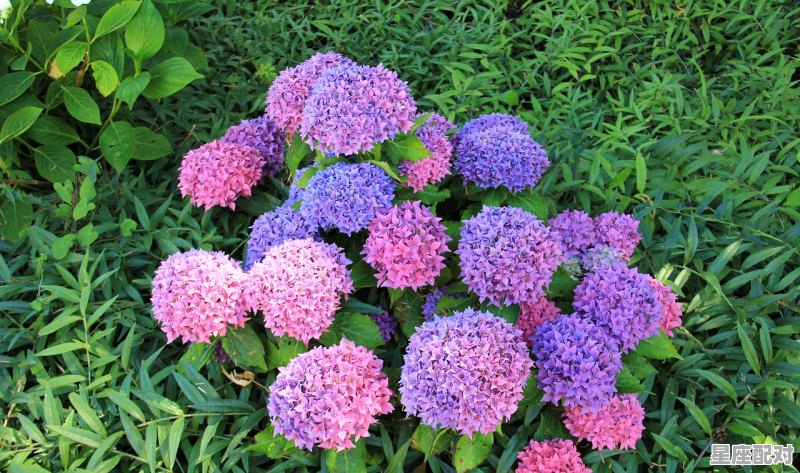 3 月是什么星座，是3月什么星座是什么 - 星座运势