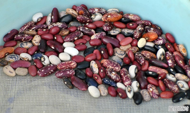 发霉的馒头为什么闻起来很难闻,梦到发霉 发霉的馒头为什么闻起来很难闻,梦到发霉 - 星座运势