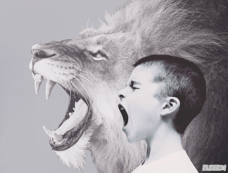 狮子座最详细的性格_O型血狮子座的男孩性格是什么样的 狮子座最详细的性格_O型血狮子座的男孩性格是什么样的 - 星座运势