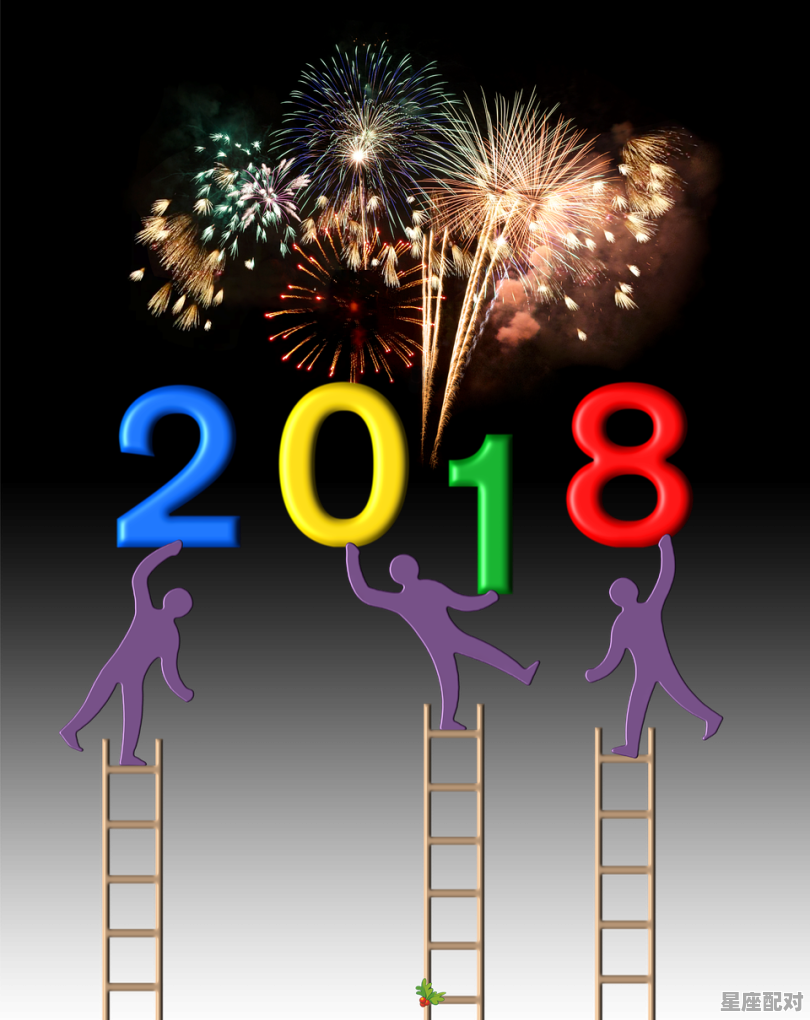 元旦节第二天是什么星座_96年元旦是什么星座 - 星座运势