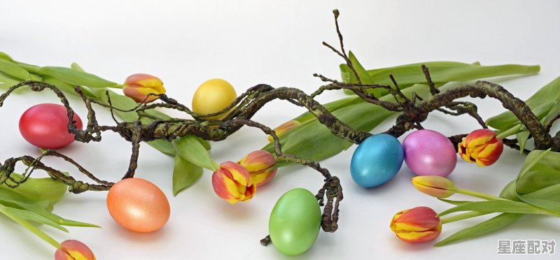 土象星座什么意思，什么是土象星座 - 星座运势