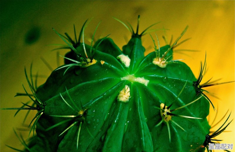 梦到流泪,梦到流泪 梦到流泪,梦到流泪 - 星座运势