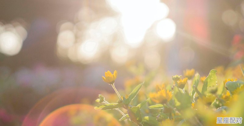 4月18号的白羊座的性格，4月4日白羊座性格 - 星座运势