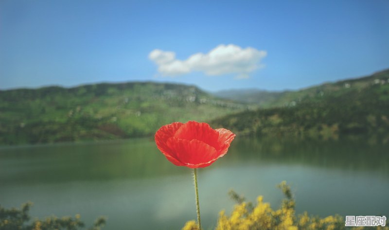 未来10天双鱼座需要注意的三件事,星座今日整体运势 - 星座运势