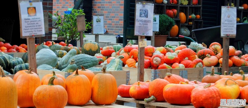 广州话说别人卖花戴是什么意思,广州过年买花习俗 广州话说别人卖花戴是什么意思,广州过年买花习俗 - 星座运势