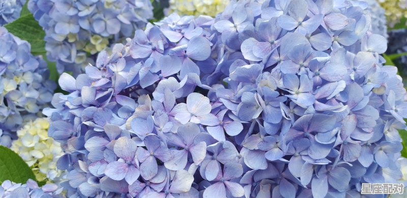 6月30是什么星座,6月30是什么星座 6月30是什么星座,6月30是什么星座 - 星座运势