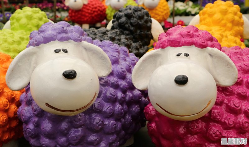 白羊座男生的9大性格,属羊白羊座男生性格 白羊座男生的9大性格,属羊白羊座男生性格 - 星座运势