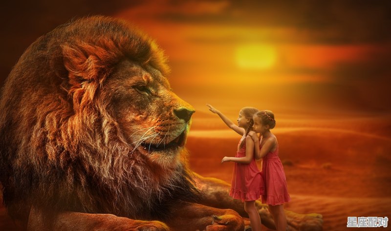 分析一下A型狮子女_狮子座女生是什么血型 - 星座运势