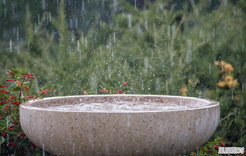 梦香兰换盆以后怎么浇水,梦到浇水 梦香兰换盆以后怎么浇水,梦到浇水 - 星座运势