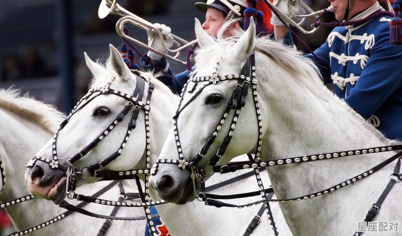 光明正大解什么动物_十二生肖分别有几位皇帝 - 星座运势