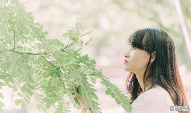 处女女最疼哪个星座男_处女女最疼哪个星座男 - 星座运势