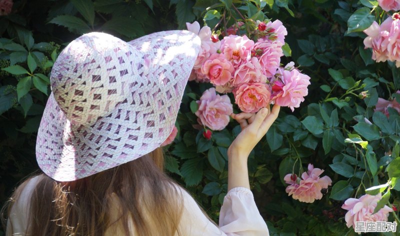 处女女能驾驭的星座男,处女座女生吃定哪个星座男生,处女座的星座配对男生是谁 处女女能驾驭的星座男,处女座女生吃定哪个星座男生,处女座的星座配对男生是谁 - 星座运势