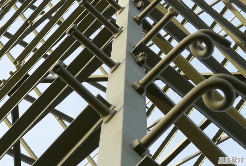 梦到螺丝,梦到螺丝 - 星座运势