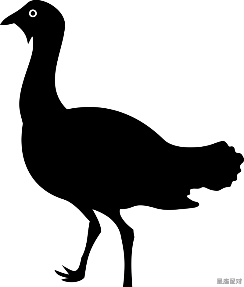 普风捉影动物是什么_杯弓蛇影的动物 普风捉影动物是什么_杯弓蛇影的动物 - 星座运势