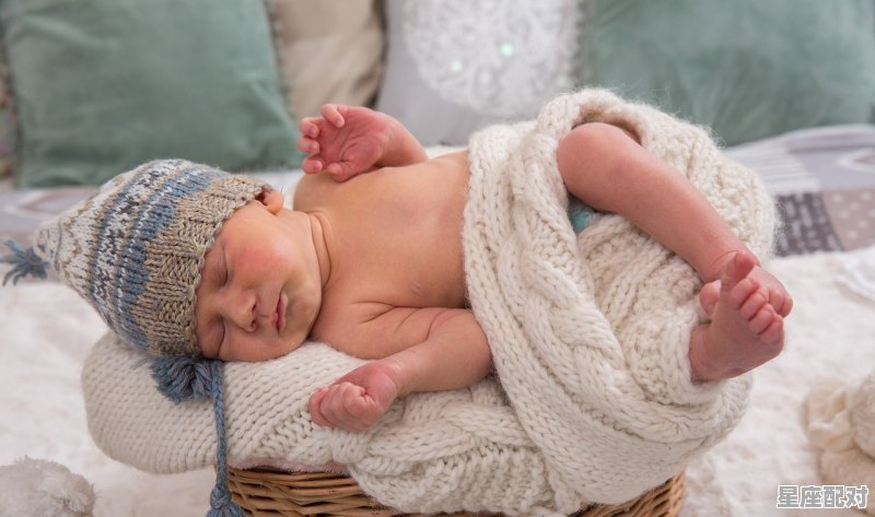 2019年出生的孩子属什么,2019是什么生肖年 2019年出生的孩子属什么,2019是什么生肖年 - 星座运势