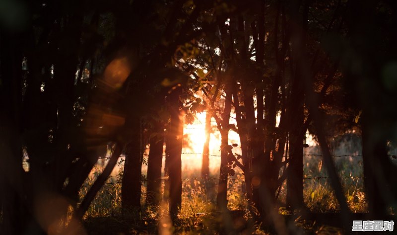 太阳星座什么意思,太阳星座是什么意思 - 星座运势