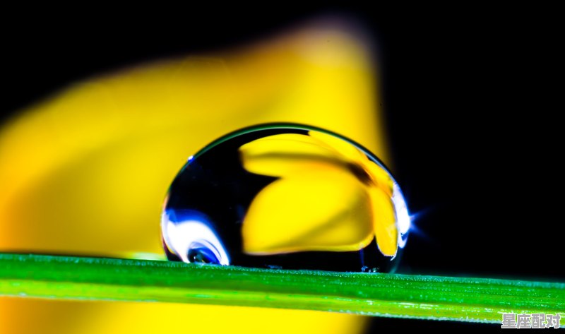 狮子座真正的性格，狮子座的性格决定 - 星座运势