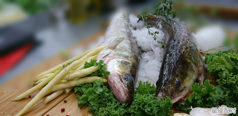 大鲤鱼是什么意思_梦到两条黄河鲤鱼 - 星座运势