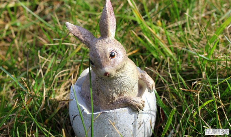 1965年8月12阴历是多少，属蛇狮子座性格 - 星座运势